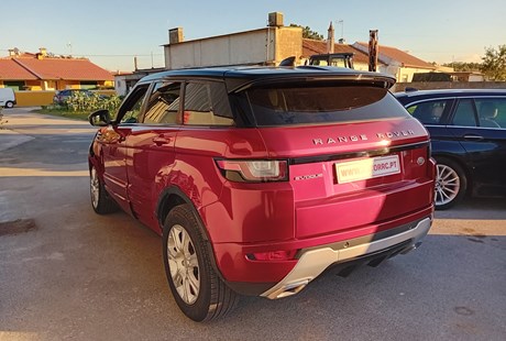 VE0689